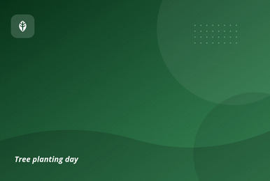 Green 01