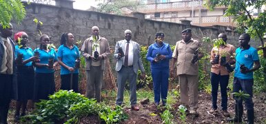 Community Tree Planting Day